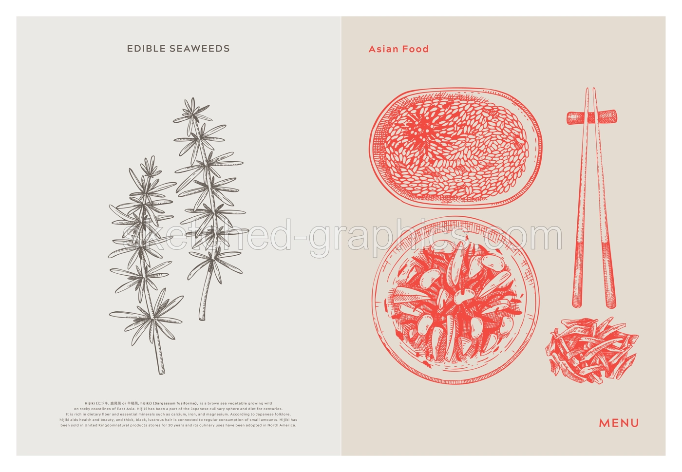 Asian food background. Hijiki, edible seaweeds, sea vegetable, kelp, healthy food sketches. Hand drawn seafood restaurant menu design template. Engraved vector illustrations in vintage style Illustration